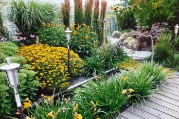 Vielfalt auf kleinsten Raum